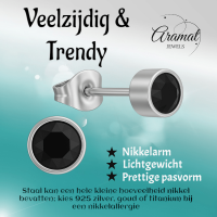 Zwarte kristal oorstekers &acirc;&euro;&ldquo; 5mm zilver RVS -