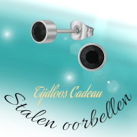 Zwarte kristal oorstekers &acirc;&euro;&ldquo; 5mm zilver RVS -