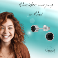 Zwarte kristal oorstekers &acirc;&euro;&ldquo; 5mm zilver RVS -