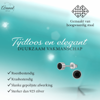 Zwarte kristal oorstekers &acirc;&euro;&ldquo; 5mm zilver RVS -