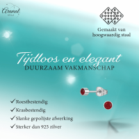 Granaatrood kristal oorstekers &acirc;&euro;&ldquo; 4mm zilver RVS -