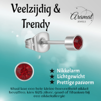 Granaatrood kristal oorstekers &acirc;&euro;&ldquo; 4mm zilver RVS -