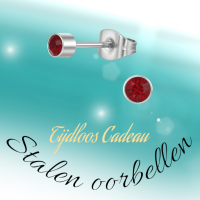 Granaatrood kristal oorstekers &acirc;&euro;&ldquo; 4mm zilver RVS -