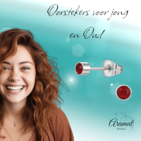 Granaatrood kristal oorstekers &acirc;&euro;&ldquo; 4mm zilver RVS -