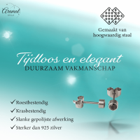 Lila kristal oorstekers &acirc;&euro;&ldquo; 4mm zilver RVS -