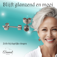 Lila kristal oorstekers &acirc;&euro;&ldquo; 4mm zilver RVS -