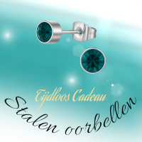 Turquoise kristal oorstekers &acirc;&euro;&ldquo; 4mm zilver RVS -