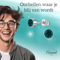 Turquoise kristal oorstekers &acirc;&euro;&ldquo; 4mm zilver RVS -