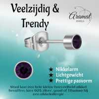 Amethist paarse kristal oorstekers &acirc;&euro;&ldquo; 4mm RVS -