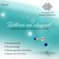 Koningsblauw kristal oorstekers &acirc;&euro;&ldquo; 4mm zilver -
