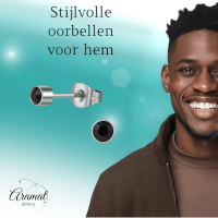 Zwarte kristal oorstekers &acirc;&euro;&ldquo; 4mm zilver RVS -