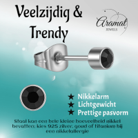 Zwarte kristal oorstekers &acirc;&euro;&ldquo; 4mm zilver RVS -
