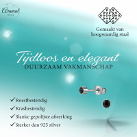 Zwarte kristal oorstekers &acirc;&euro;&ldquo; 4mm zilver RVS -