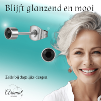 Zwarte kristal oorstekers &acirc;&euro;&ldquo; 4mm zilver RVS -