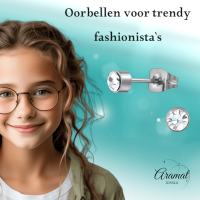 Transparante kristal oorstekers &acirc;&euro;&ldquo; 4mm zilver RVS -