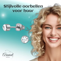 Transparante kristal oorstekers &acirc;&euro;&ldquo; 4mm zilver RVS -