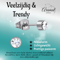 Transparante kristal oorstekers &acirc;&euro;&ldquo; 4mm zilver RVS -
