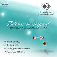 Mini oorstekers topaasbruin kristal &acirc;&euro;&ldquo; 3mm RVS -