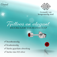 Mini oorstekers granaatrood kristal &acirc;&euro;&ldquo; 3mm RVS -