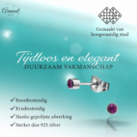 Mini oorstekers lavendel kristal &acirc;&euro;&ldquo; 3mm RVS -