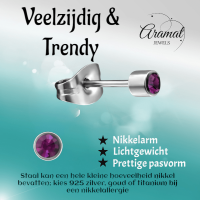 Mini oorstekers lavendel kristal &acirc;&euro;&ldquo; 3mm RVS -