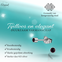 Mini paarse kristal oorstekers &acirc;&euro;&ldquo; 3mm elegant -