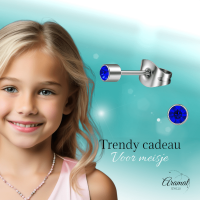 Mini kristal oorstekers blauw &acirc;&euro;&ldquo; 3mm zilverkleur -