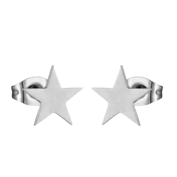Grote zilverkleurige ster oorstekers &acirc;&euro;&ldquo; 10mm -