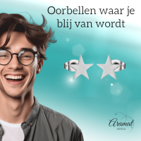 Grote zilverkleurige ster oorstekers &acirc;&euro;&ldquo; 10mm -