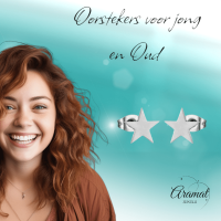 Grote zilverkleurige ster oorstekers &acirc;&euro;&ldquo; 10mm -