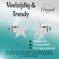 Grote zilverkleurige ster oorstekers &acirc;&euro;&ldquo; 10mm -