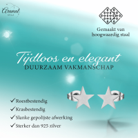 Grote zilverkleurige ster oorstekers &acirc;&euro;&ldquo; 10mm -