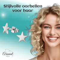 Ster oorstekers zilverkleur RVS &acirc;&euro;&ldquo; 8mm sprankelend -