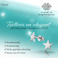 Ster oorstekers zilverkleur RVS &acirc;&euro;&ldquo; 8mm sprankelend -