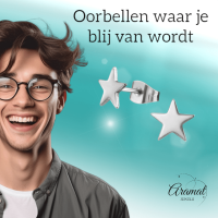 Ster oorstekers zilverkleur RVS &acirc;&euro;&ldquo; 8mm sprankelend -
