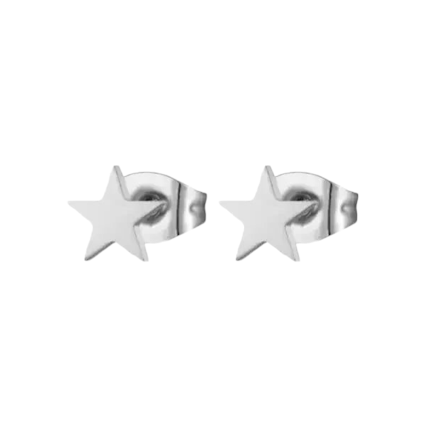 Ster oorstekers zilverkleur RVS &acirc;&euro;&ldquo; 6mm tijdloos - Heren