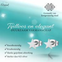 Ster oorstekers zilverkleur RVS &acirc;&euro;&ldquo; 6mm tijdloos - Heren