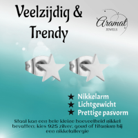 Ster oorstekers zilverkleur RVS &acirc;&euro;&ldquo; 6mm tijdloos - Heren