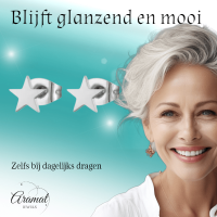 Ster oorstekers zilverkleur RVS &acirc;&euro;&ldquo; 6mm tijdloos - Heren