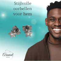 Ster oorstekers zilverkleur kristal &acirc;&euro;&ldquo; 6mm sprankel -