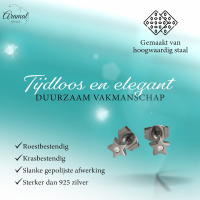 Ster oorstekers zilverkleur kristal &acirc;&euro;&ldquo; 6mm sprankel -
