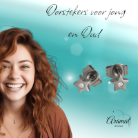 Ster oorstekers zilverkleur kristal &acirc;&euro;&ldquo; 6mm sprankel -