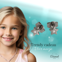 Ster oorstekers zilverkleur kristal &acirc;&euro;&ldquo; 6mm sprankel -