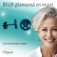 Ronde oorstekers met ster blauw RVS &acirc;&euro;&ldquo; 8mm -