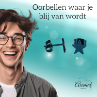 Ster oorstekers blauw RVS &acirc;&euro;&ldquo; 8mm opvallend - Heren