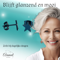 Ster oorstekers blauw RVS &acirc;&euro;&ldquo; 8mm opvallend - Heren