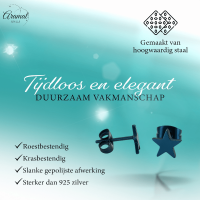 Ster oorstekers blauw RVS &acirc;&euro;&ldquo; 8mm opvallend - Heren