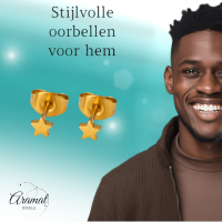 Mini ster oorstekers goudkleur staal &acirc;&euro;&ldquo; 3mm -
