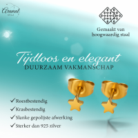 Mini ster oorstekers goudkleur staal &acirc;&euro;&ldquo; 3mm -