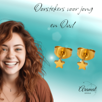 Mini ster oorstekers goudkleur staal &acirc;&euro;&ldquo; 3mm -